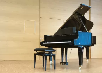 Kuyruklu Piyano Nedir? Kuyruklu Piyano ile Duvar Tipi Piyano Arasındaki Fark Nedir?
